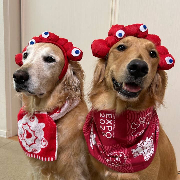 1bf9cbca e5ae 4f4b 84fd 0f3678a28211 1755076915445