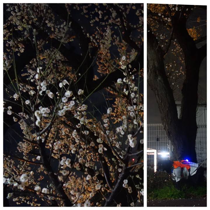 1bf9d0f5 042d 4710 8db9 0b8855dee8a3 1706526992798