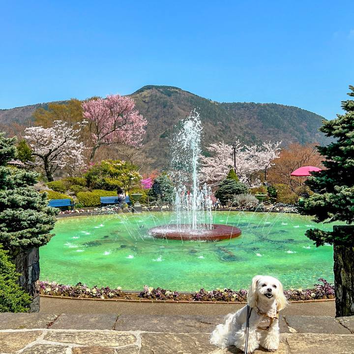 1bf9fb80 57fd 43b9 994c 48ad8617f4e3 1680828558160