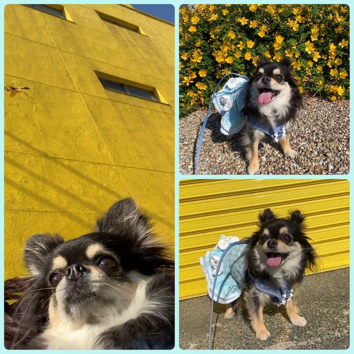 1bfa0f43 712a 40d7 a3c5 9c9e3bf2d495 1653262841276