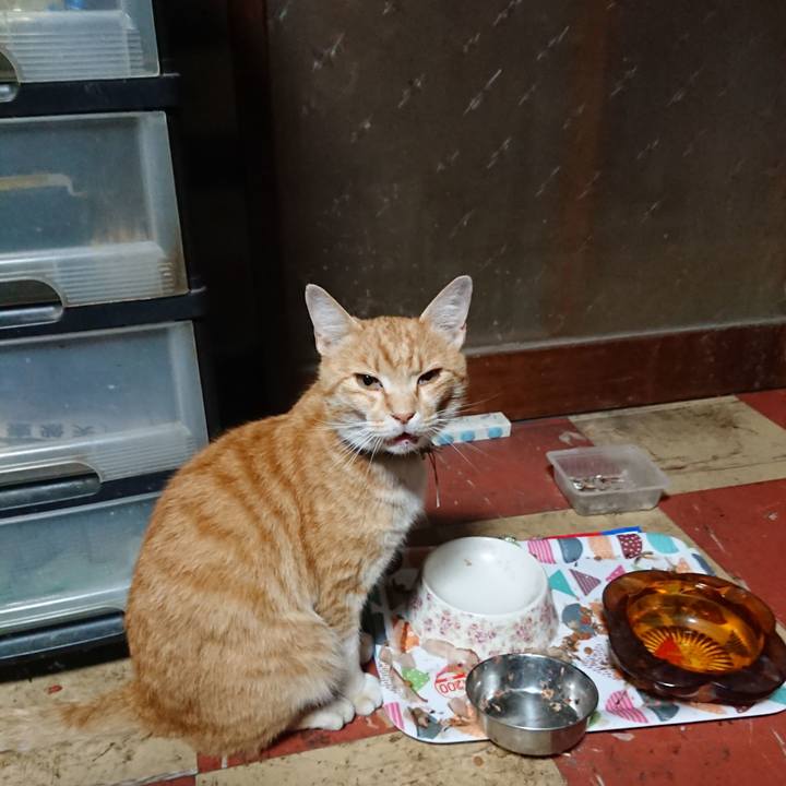 1bfa4157 ea99 4a88 97e2 6bdd0dc1a585 1591385023819