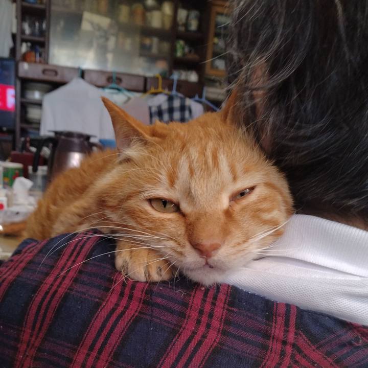 1bfa4956 2825 4bbd 9e7c 0a6c7cec2c74 1716281713619