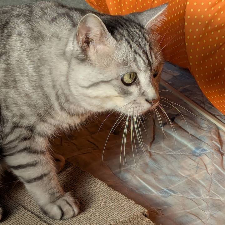 1bfa4cef 5949 43aa 9f72 fc72447342a2 1758665749470