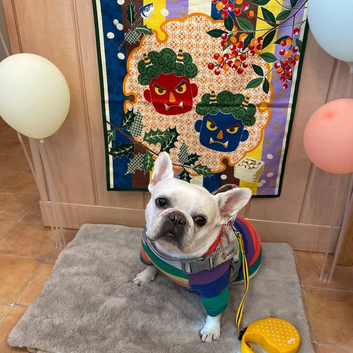 1bfa58ae 1cdd 4023 bf56 805028690501 1770021741443