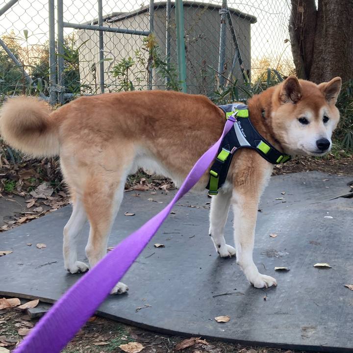 1bfa6f6e c645 4133 8c16 7c6e137968ec 1610956457051