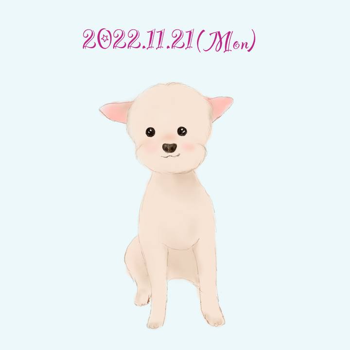 1bfa8035 826b 4f1e 8b26 1f0ff7362f49 1669035115438