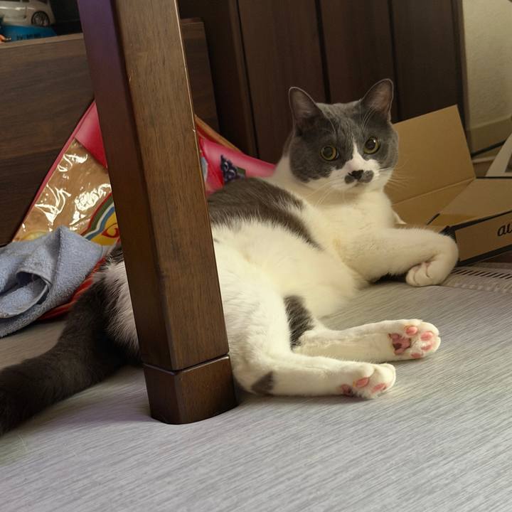 1bfa8796 c340 48b7 99bb 277ecc6de442 1759537219116