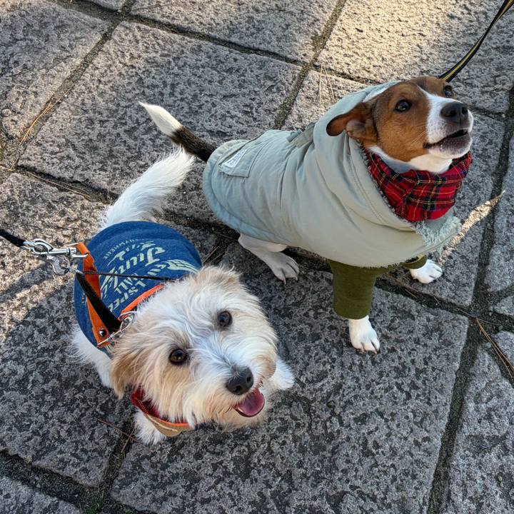 1bfab637 fd80 4789 aad9 04c681bc2bef 1768033565258