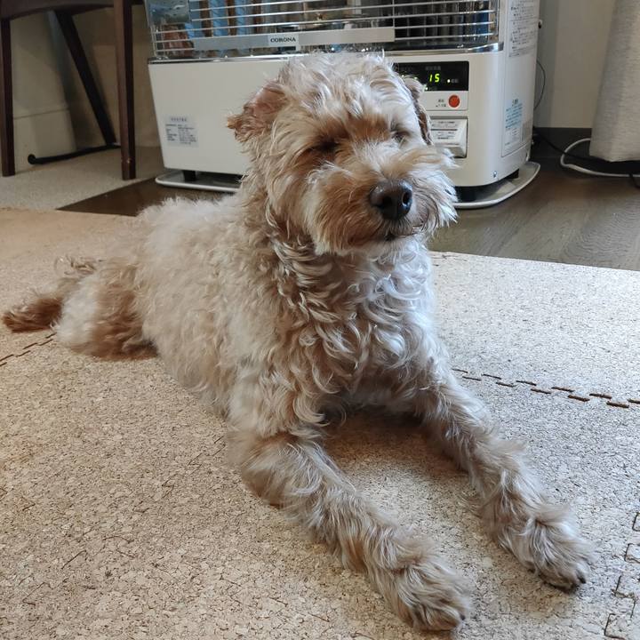 1bface50 b2e0 4e4b 86d8 237d76089fd9 1584052329967