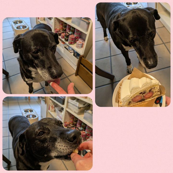 1bfae189 5826 4ed8 b342 d0f1d78a0926 1746097300330