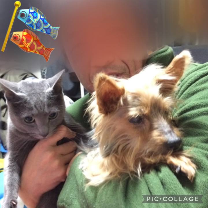 1bfaf191 4989 49b0 9c5a e75d32ab5613 1651723147336