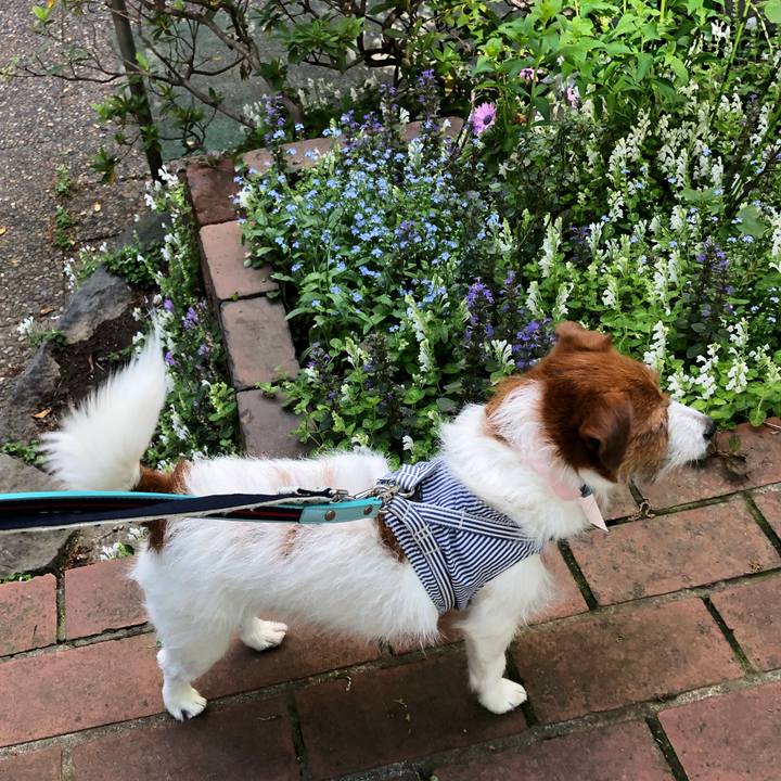 1bfb3146 2900 4461 aad5 81036a75908c 1556841037567