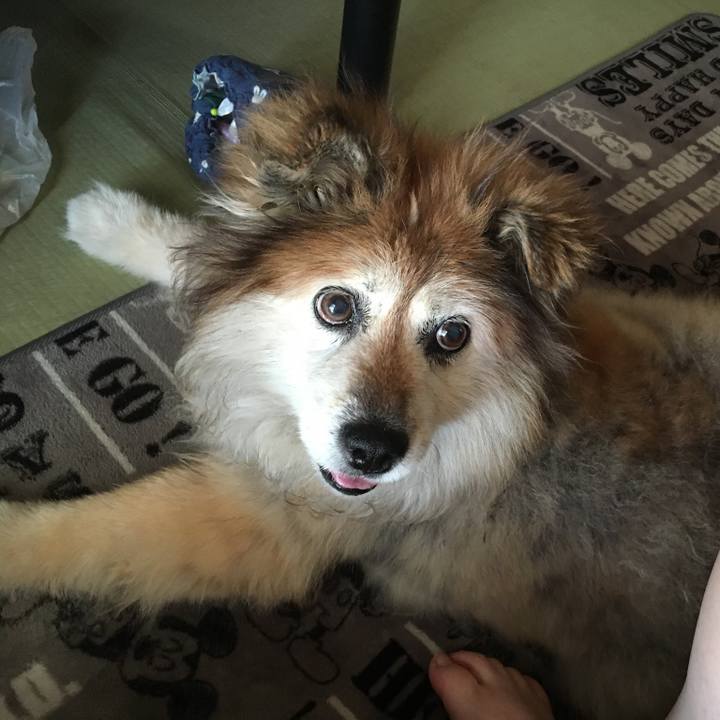 1bfb4225 5783 47f0 b7e8 2899da491607 1598773514092