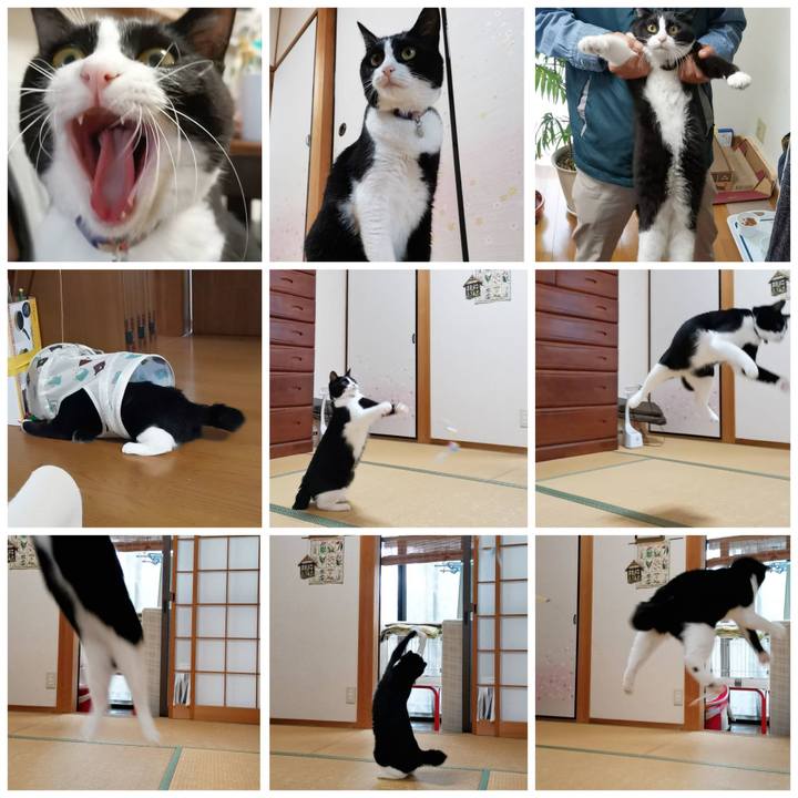 1bfb5d33 f49d 465f 8ba2 bd84f725229d 1602403913802