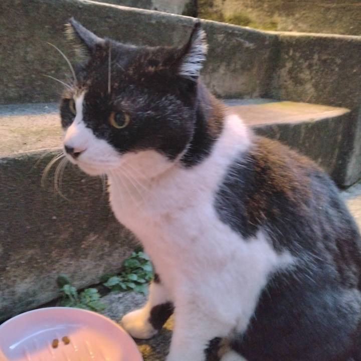 1bfb96c8 0a2a 4e3f 8cfd fa74bd1c8f4a 1700300416782