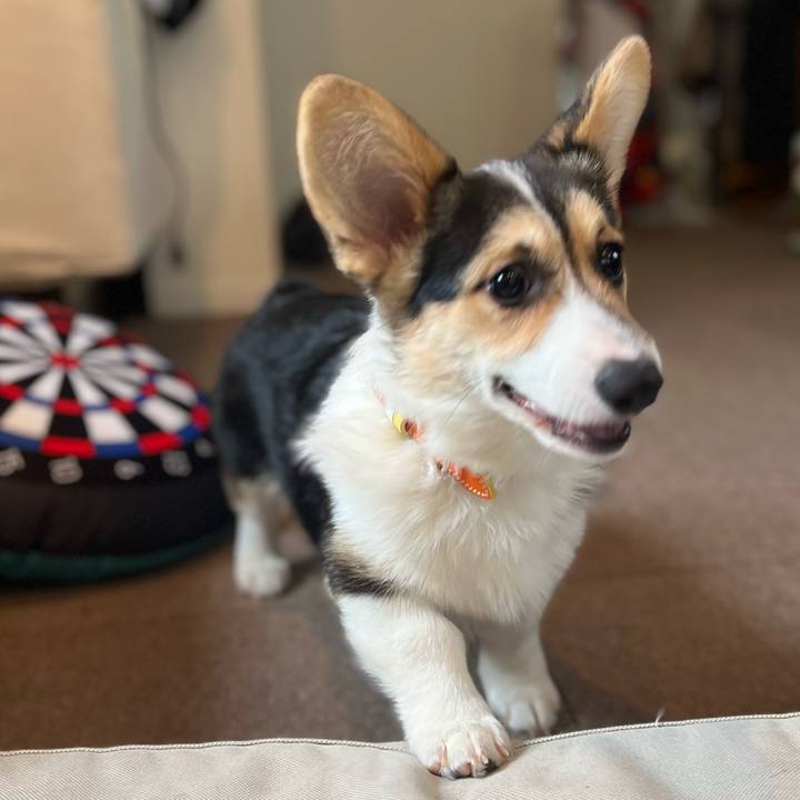 1bfbcab1 856b 4f3f b496 fb221d49dbc2 1774484884312