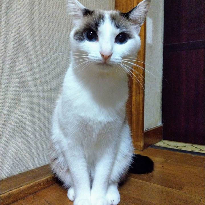 1bfc072b 7c9c 4f5d 95c3 ed1dbb87cf4b 1574034657784