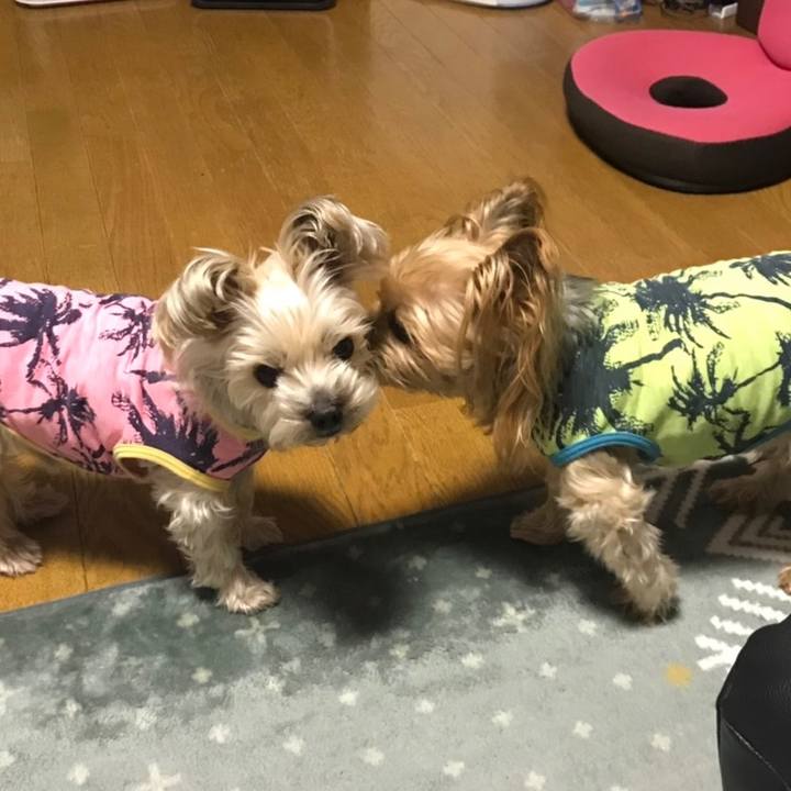 1bfc09ea 3c94 4f79 99e4 fdfea42b3bfd 1575969083499