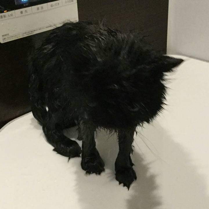 1bfc2c86 a2df 4c9a 9f89 0a124d7e6333 1517025654589