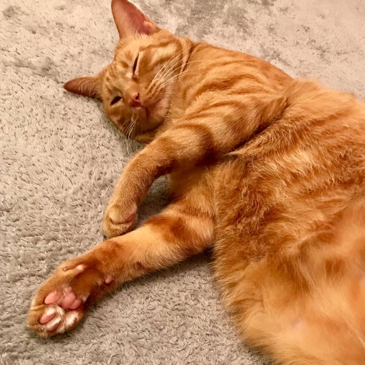 1bfc492d 1dc9 4089 9a52 acdf7ae2c49c 1605621258669