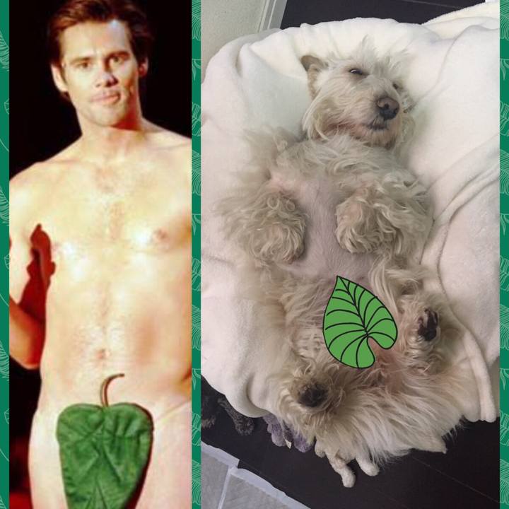 1bfc626d 965a 49f7 8981 6f88f681b1a2 1537686077015