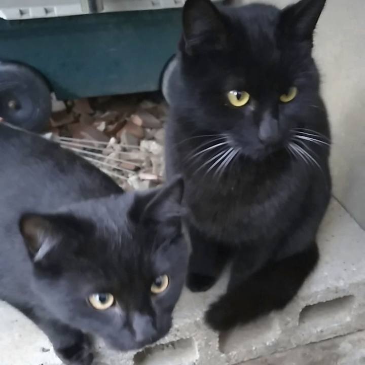 1bfca078 591b 45c0 b2ac b86163f6f7c7 1546071231581