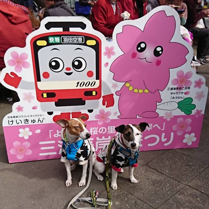 1bfcbf47 5fef 4ac8 9dd5 3726db3e6085 1550981685584