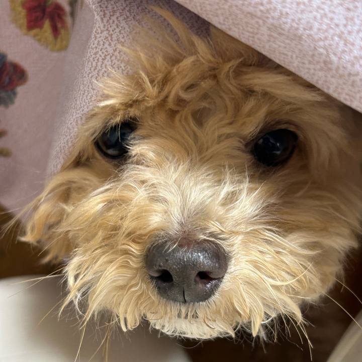 1bfcd05d eec8 42b3 b30a bf3051bba407 1742001376024