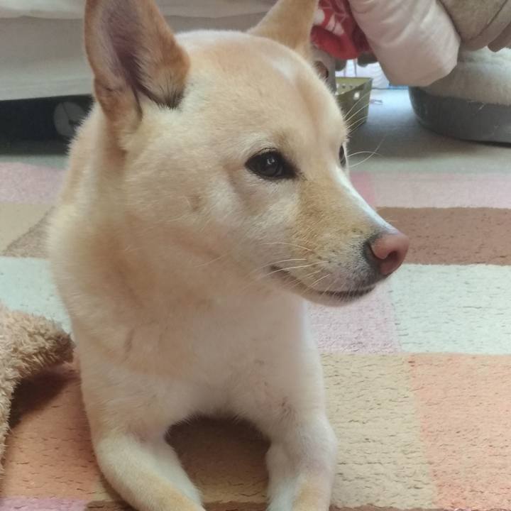 1bfcd9a9 86e7 4402 a0e0 bf5598aadcfd 1582498118328