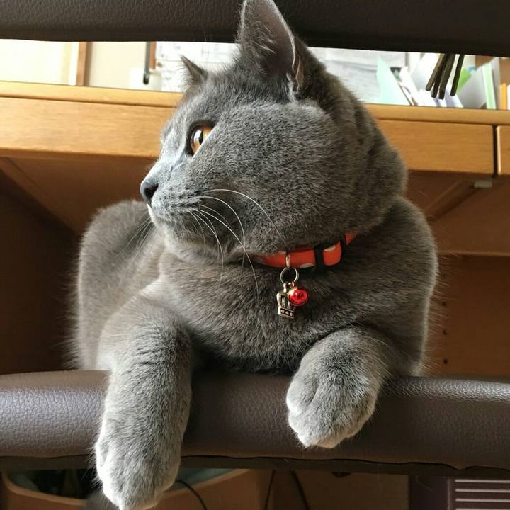 1bfd2a93 c7c2 4572 9583 0c4411f87a27 1522581032110