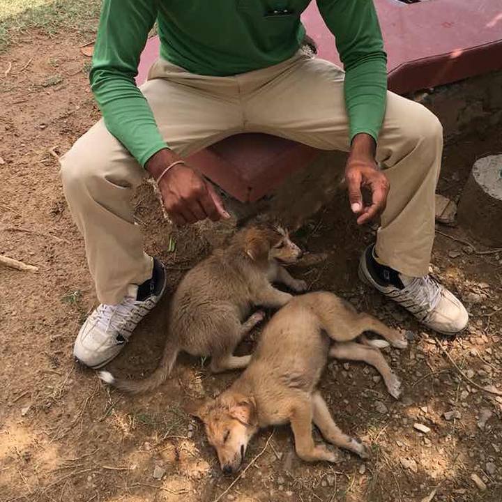 1bfd6c84 f40a 427e 996d bd3a8e56af6f 1530629418445