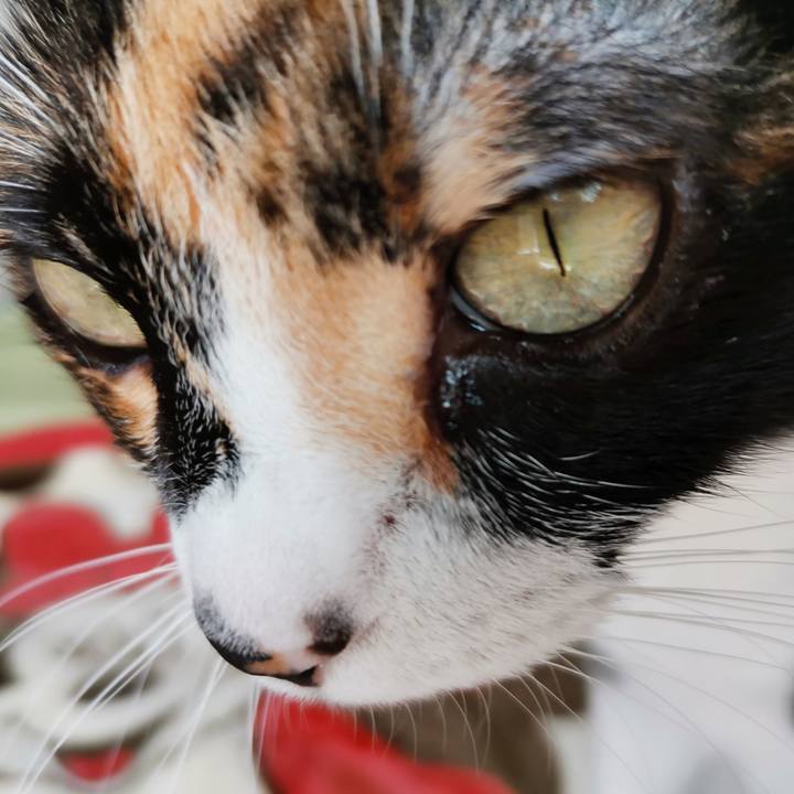 1bfd8267 ded8 4bdb 9374 944518b7a90f 1676954723719