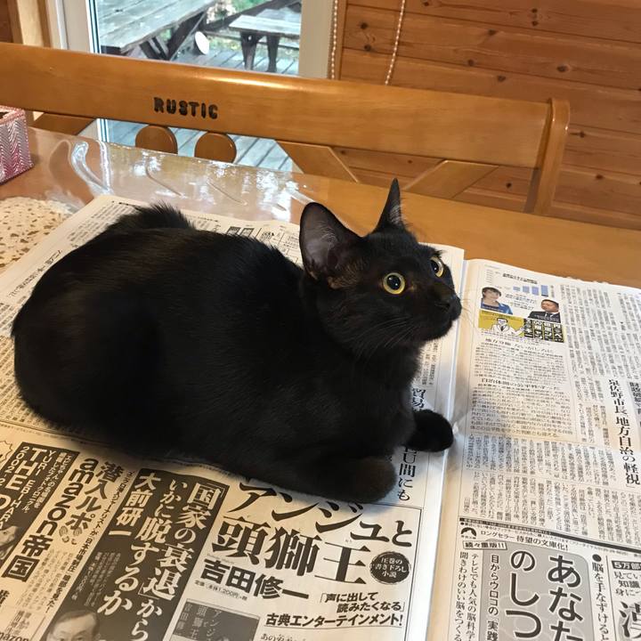 1bfd8528 5d01 410e 83c5 ba0a678dbc63 1570138965319