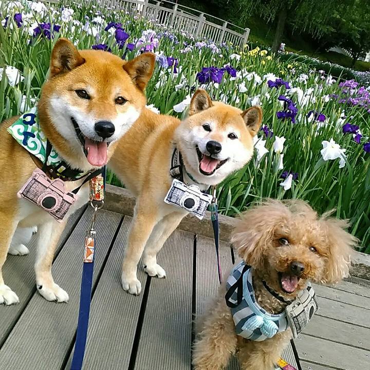 1bfda6b4 75c1 4ad7 8e77 248250608fa3 1560238902428