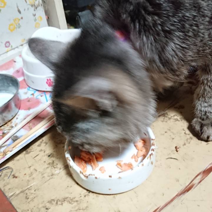 1bfdbc41 7c27 4ae4 ba94 ffacc7788775 1584617858437