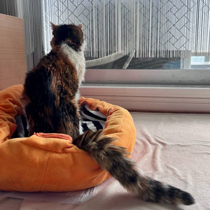 1bfdbe3c e537 4cb4 b90e b973d7b81b3f 1746842299020