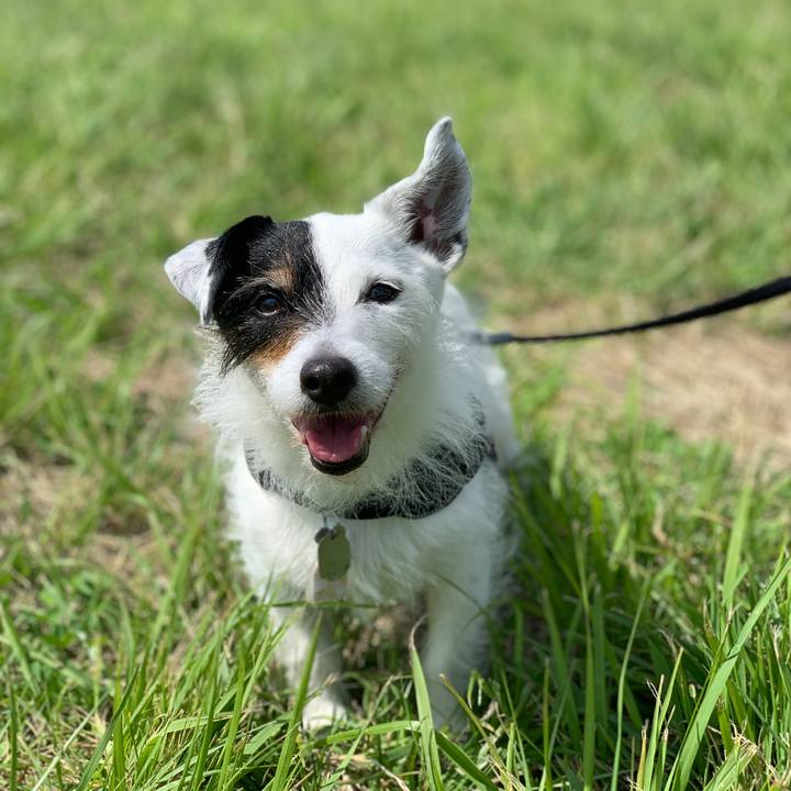 1bfdd664 b354 4d56 8a6d 8cc69ad303d6 1717547401260