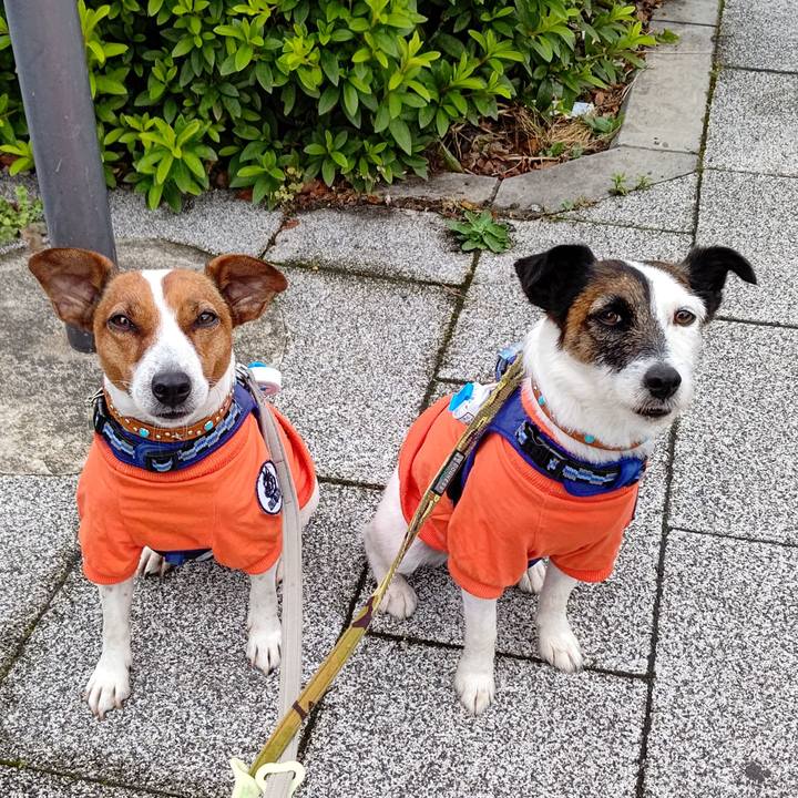 1bfe1140 6e1f 43a7 9c86 56c12c5a45f3 1622755571187