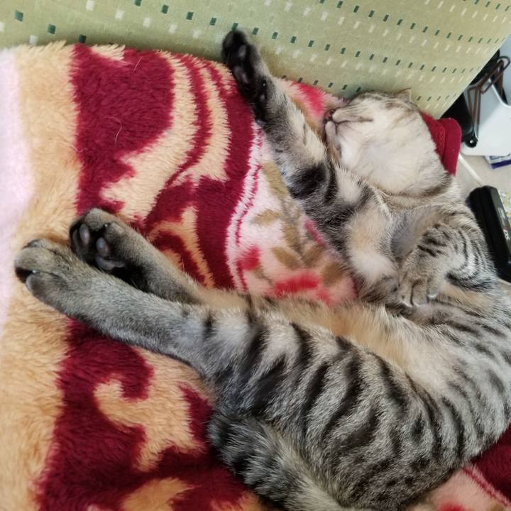 1bfe42fd 160a 4f66 a480 c9dd5987e669 1670028728149