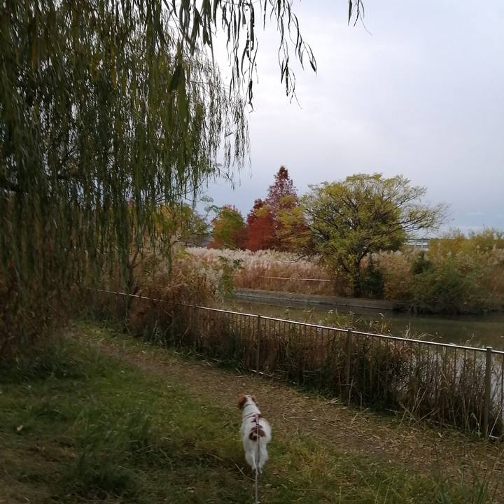 1bfe5380 9426 47c3 a9c6 f03071854a44 1575709226316