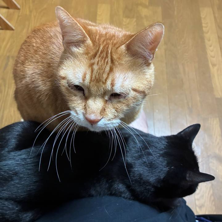 1bfe7854 1139 4388 8496 7d7245d58a2d 1762174376490