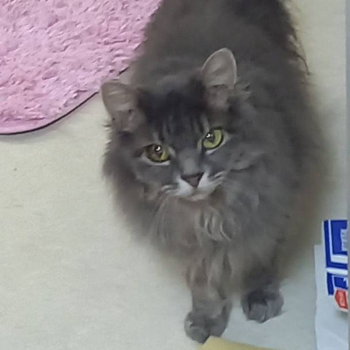 1bfeb61e 1387 4d13 b241 0e2e3d69aa44 1691237446950