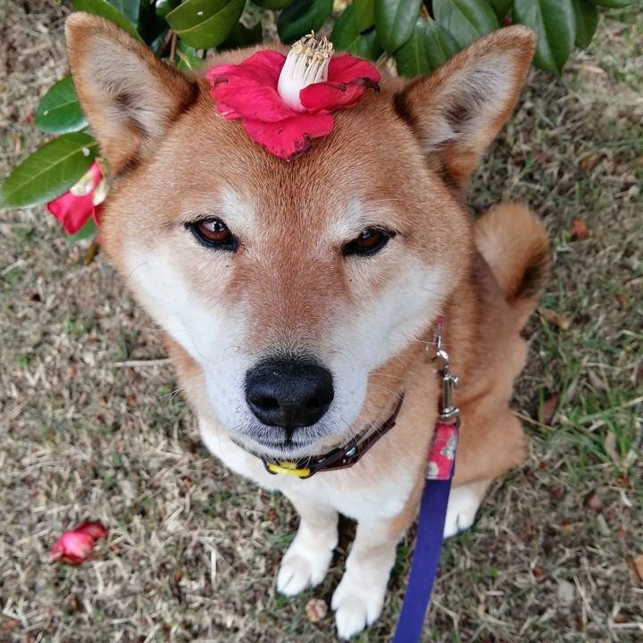 1bfebb79 231b 439e 9918 41a6084e7793 1614840655783