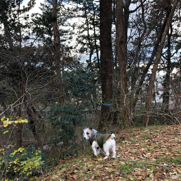 1bfed42c da03 42d9 a402 870ba113e119 1608336395579