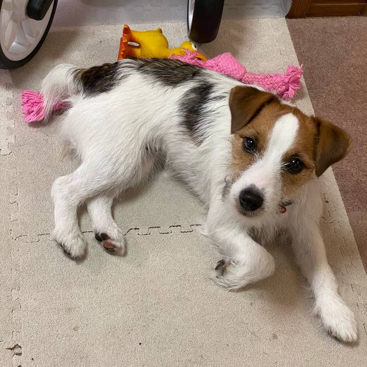 1bfeda47 310a 4d77 ac82 bb6c0d84c1cc 1629066369494