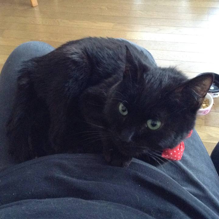 1bfef17c af8a 4ba3 8504 ba8fdd91fd35 1551773440604