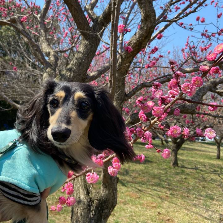 1bff0416 b33e 4e73 b356 c9312fc4ec4e 1742778483845