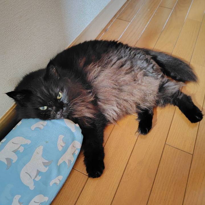 1bff0966 b123 437d b94d 12fd3bad0c02 1729120123056