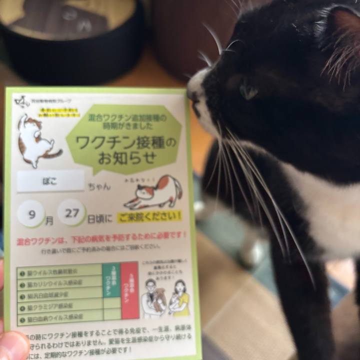 1bff1dce 21be 4594 910c a1b20a1488f3 1757573394046