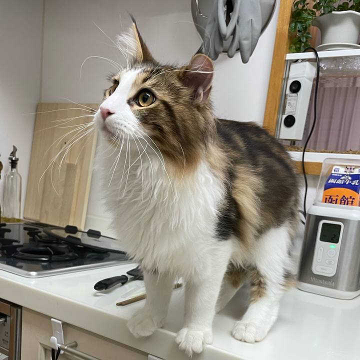 1bff5a61 4ccf 4530 bb8d b6b1d51f3073 1638481217118